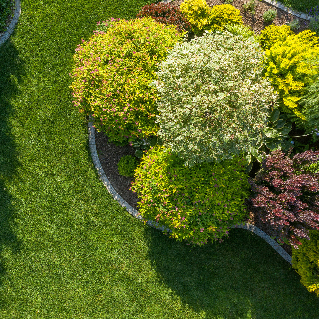 Fall Lawn Care