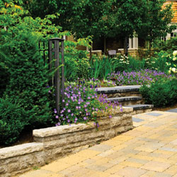 Stone Paver #4