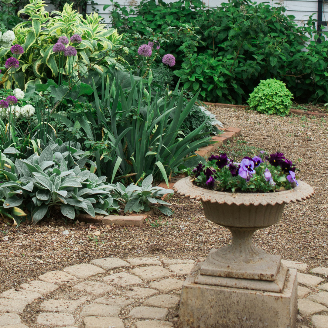 Mulch vs Stone
