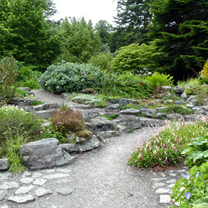 Mulch vs Stone