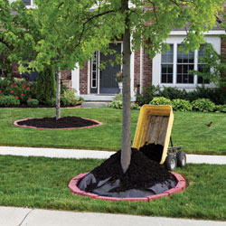 update existing landscape