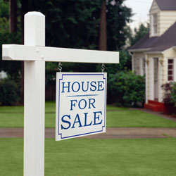 value of landscape